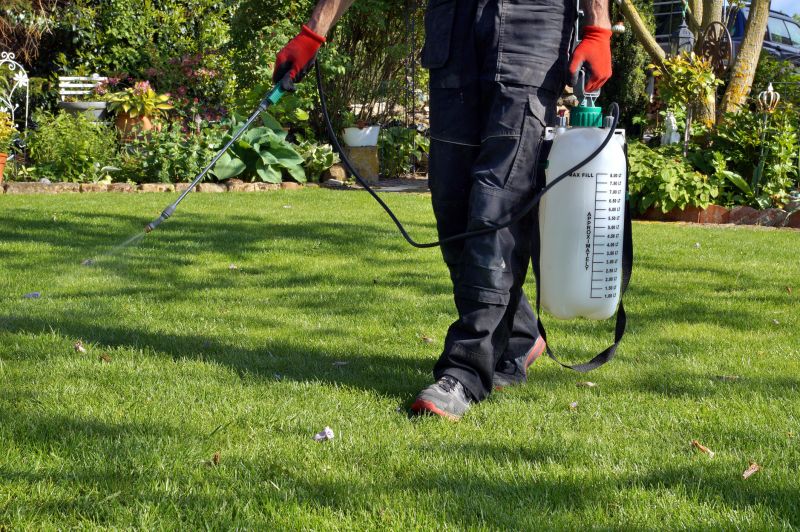 Arborist Spraying