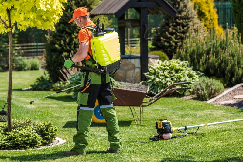 Backyard Landscaping Service