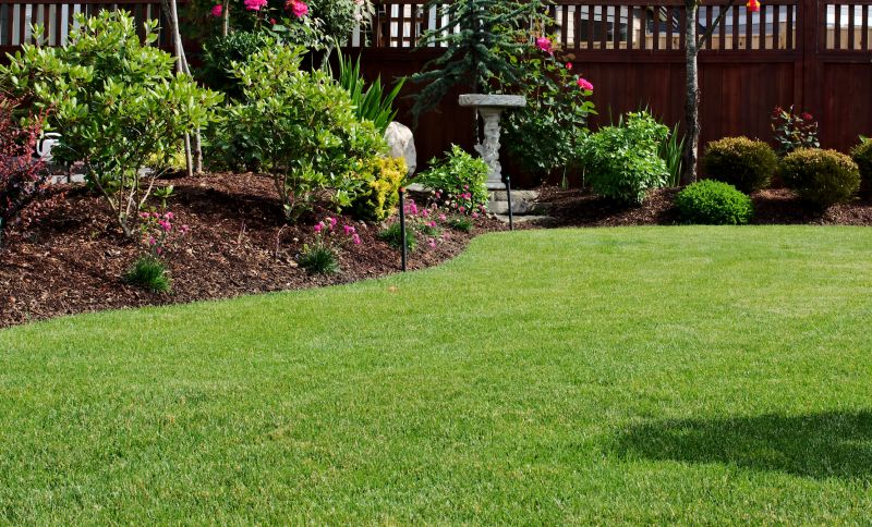 Backyard Landscaping Service