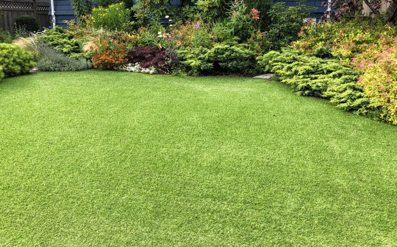 Backyard Landscaping Service
