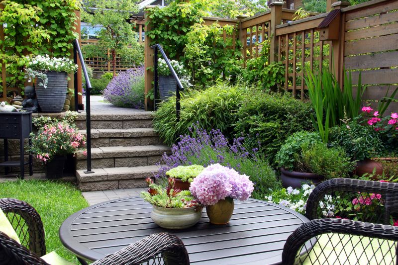 Backyard Landscaping Service