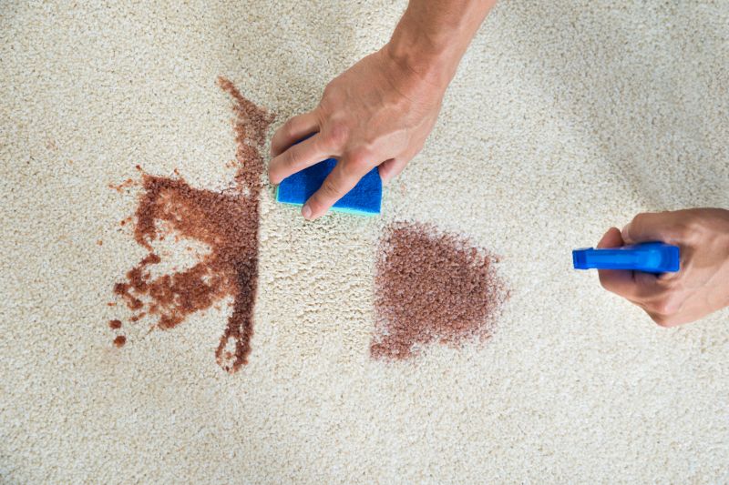 Bare Spot Repair