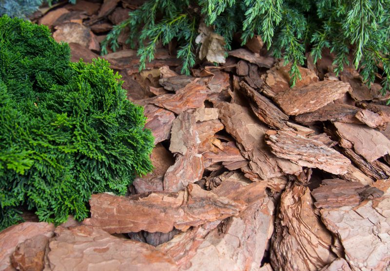 Bark Mulch Installation