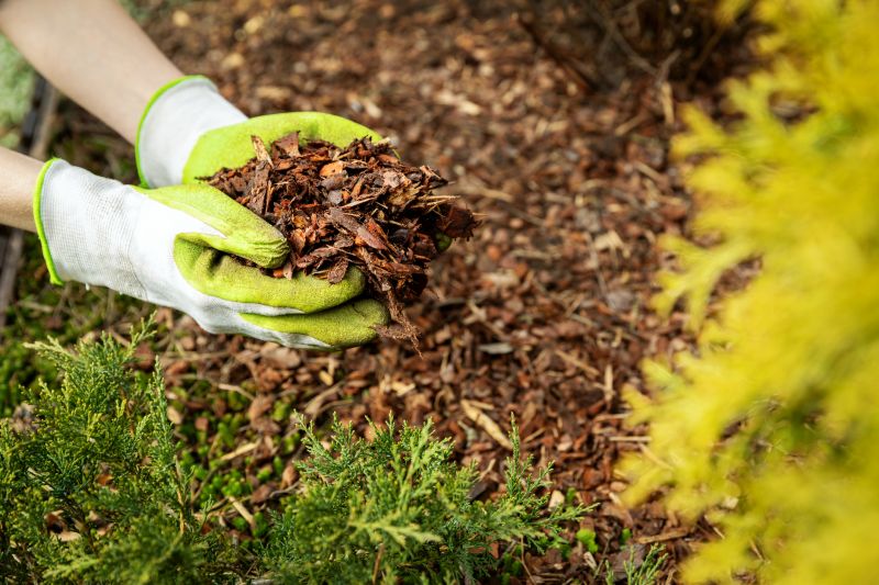 Bark Mulch Installation