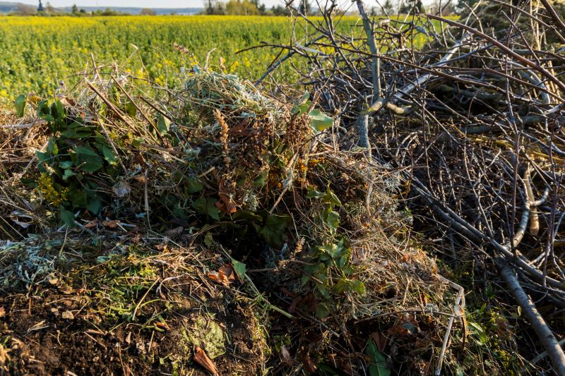 Bush Landscaping