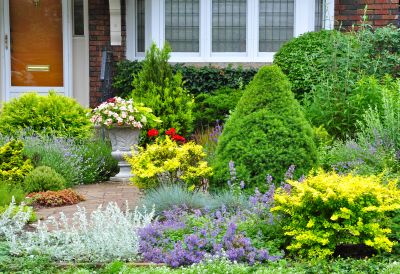Bush Landscaping