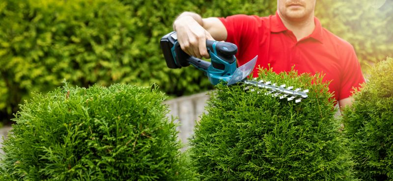 Bush Replacement