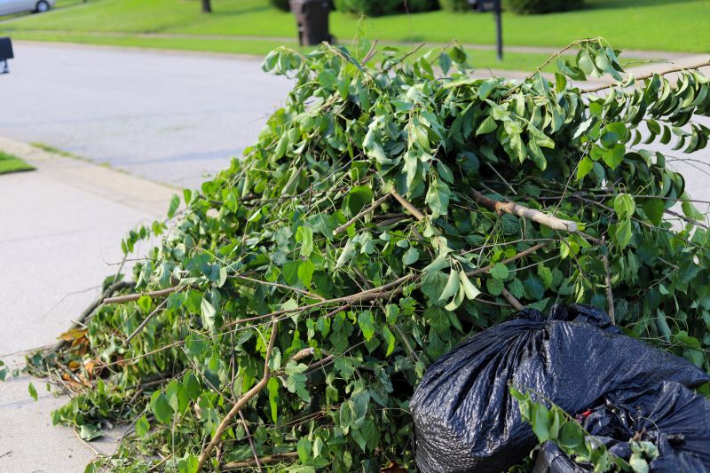 Bush Replacement
