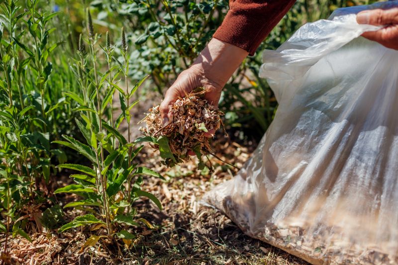 Cedar Mulch Spreading
