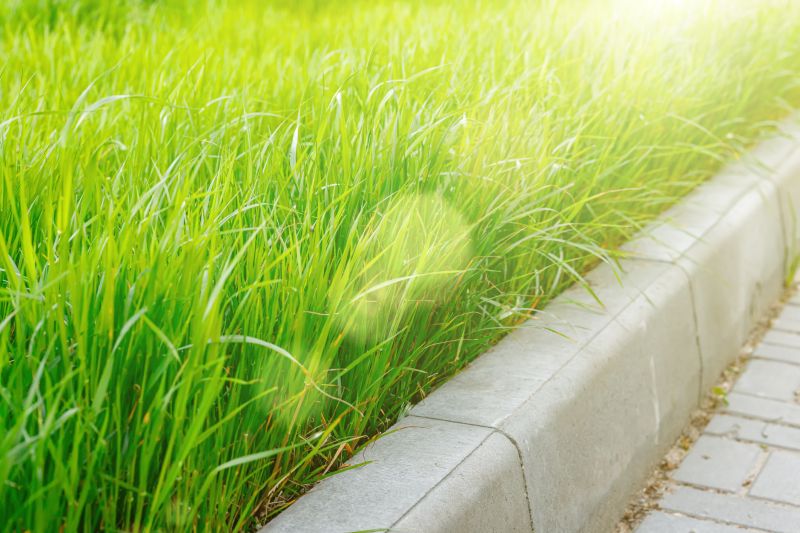 Concrete Edging Repair