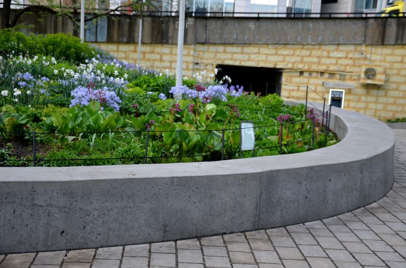 Concrete Edging Replacement