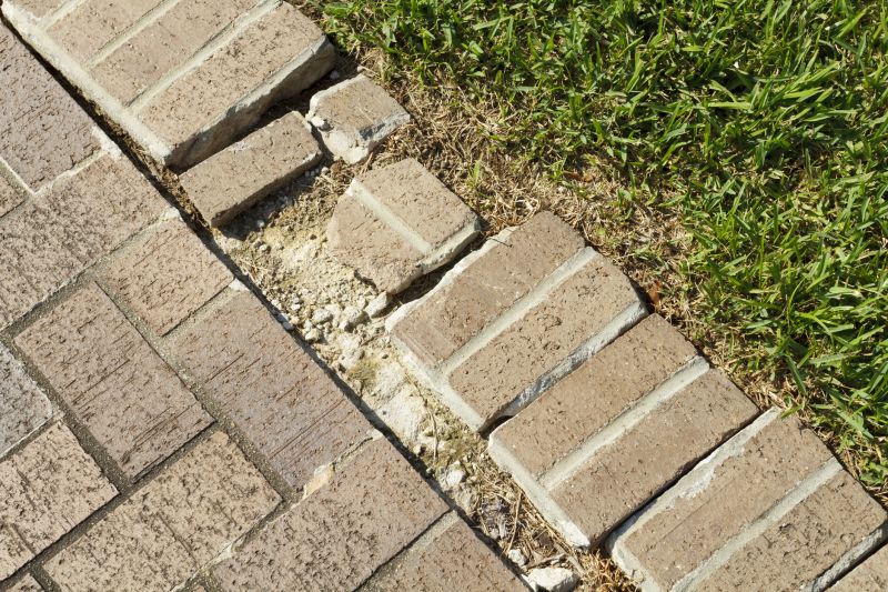 Damaged Yard Repair