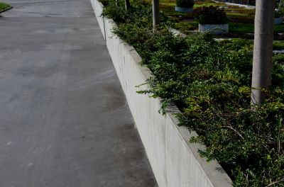 Decorative Curbing Service