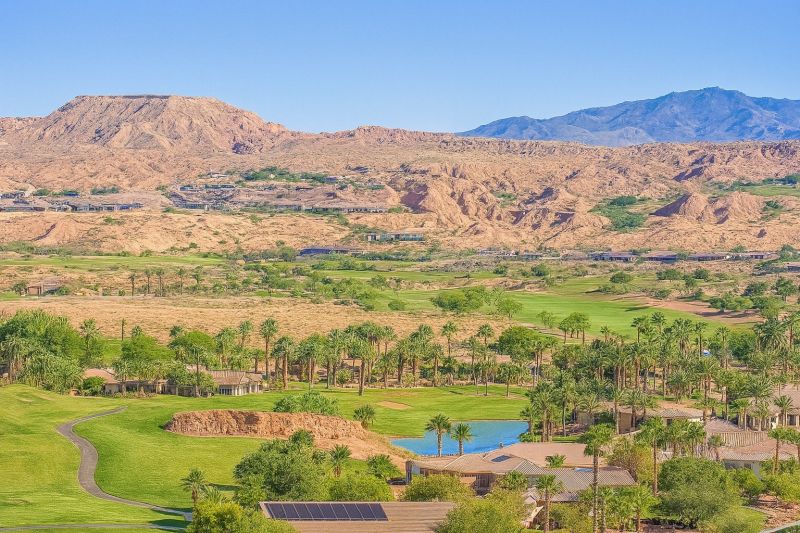 Desert Landscaping