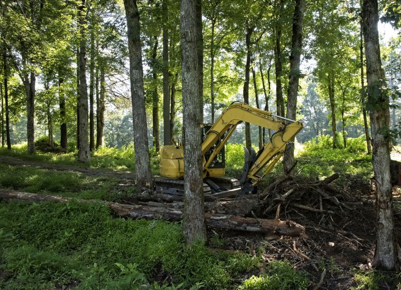 Ditch Clearing