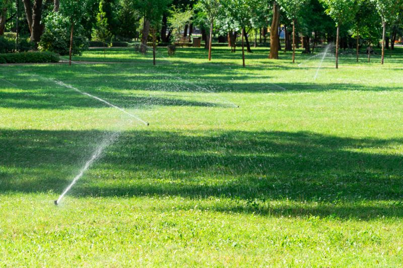 Drought Resistant Landscaping