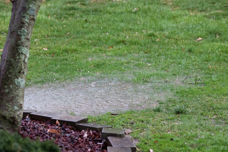 Drought Resistant Landscaping