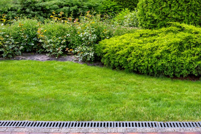 Drought Resistant Landscaping