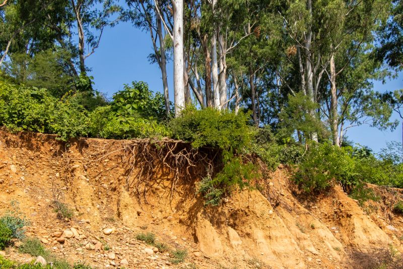 Erosion Damage Repair