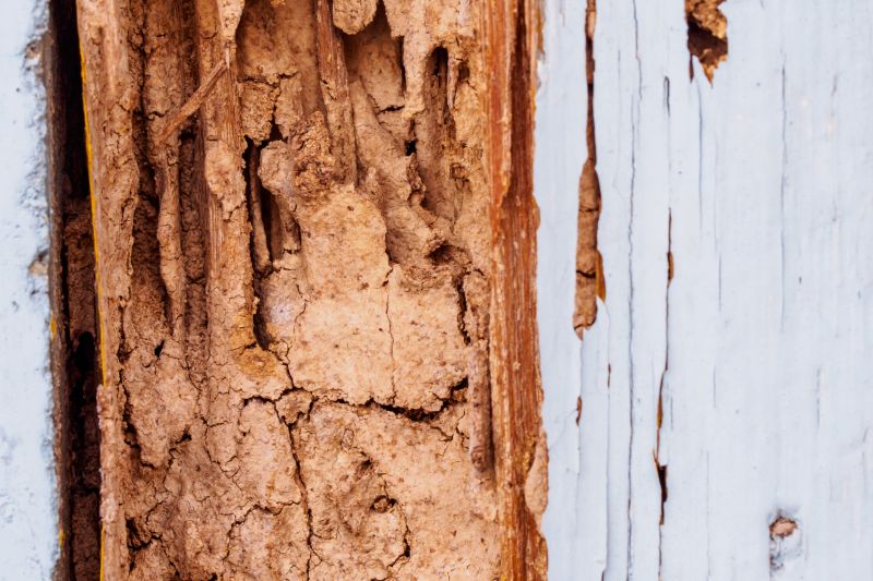 Erosion Damage Repair