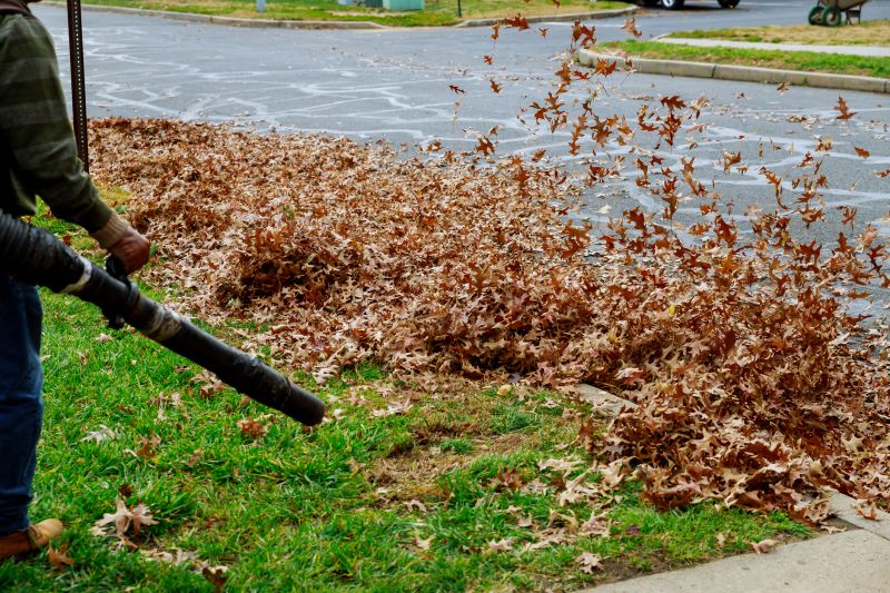 Leaf Blowing Precision