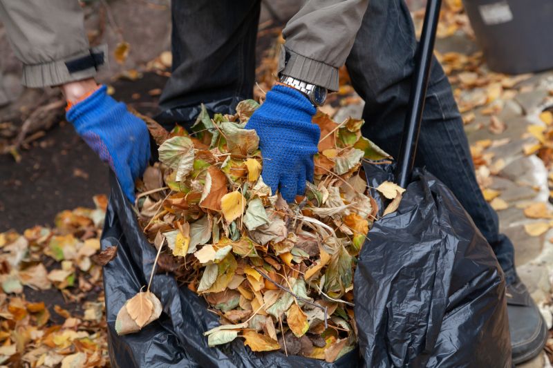 Leaf Collection Process