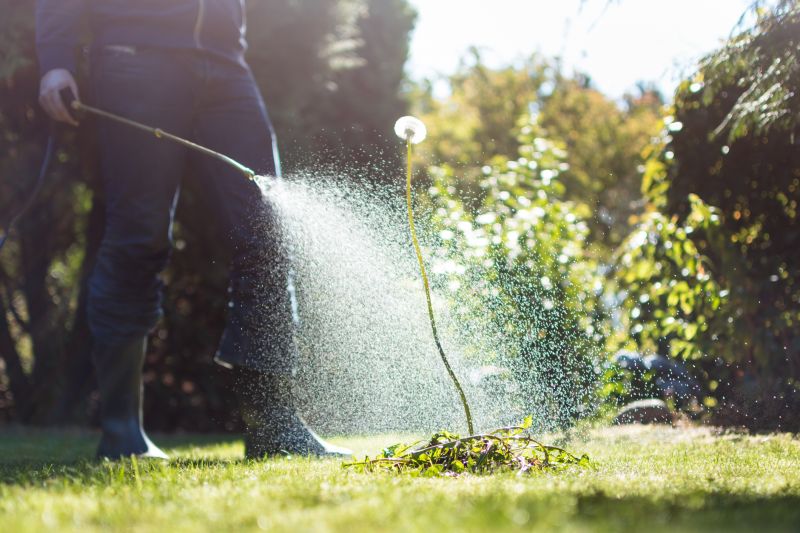 Flower Bed Cleanup Service