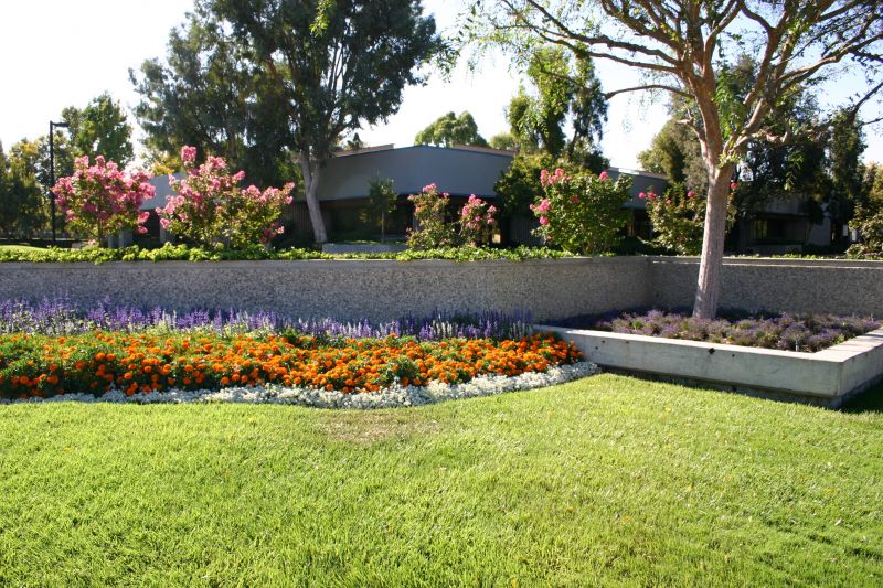 Flower Bed Clearing