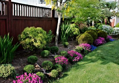 Flower Bed Maintenance