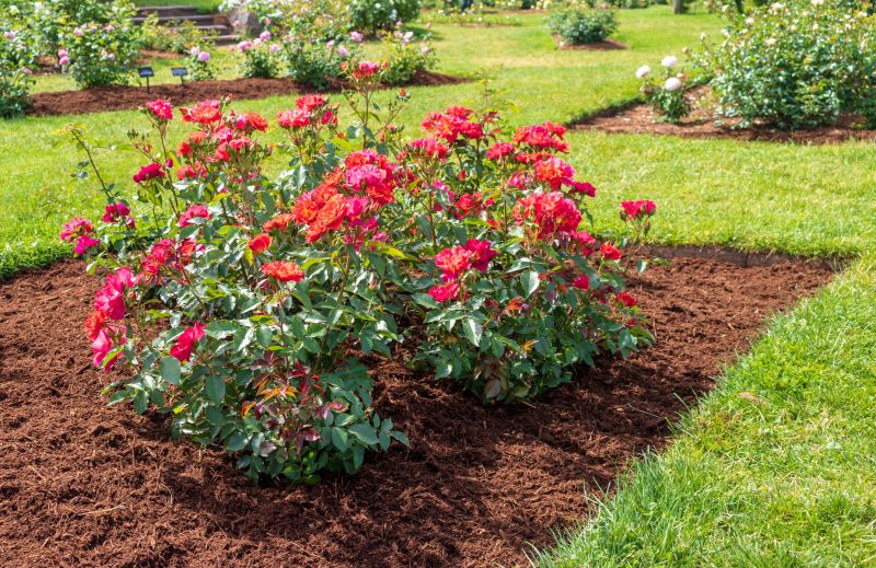 Flower Bed Service