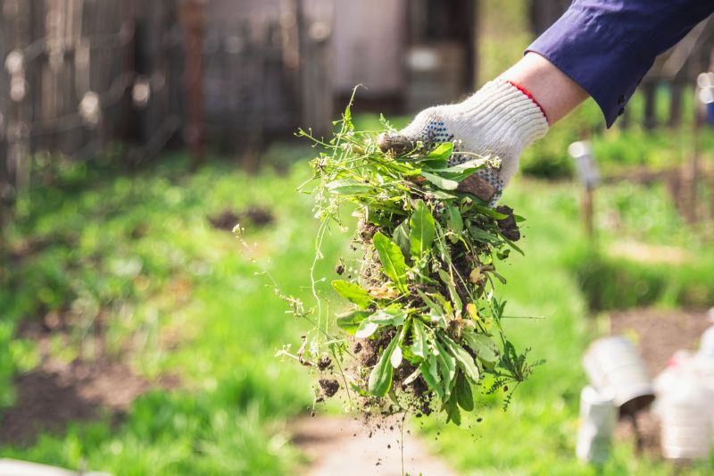 Flower Garden Weeding