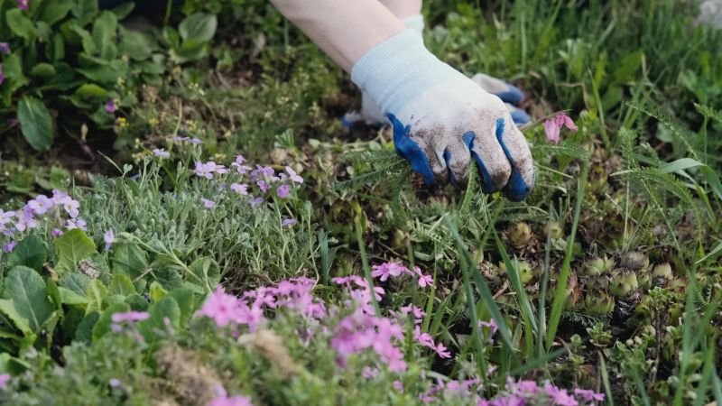 Flower Garden Weeding