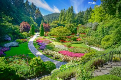 Flower Landscaping