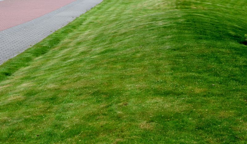 Damaged Yard Repair detail