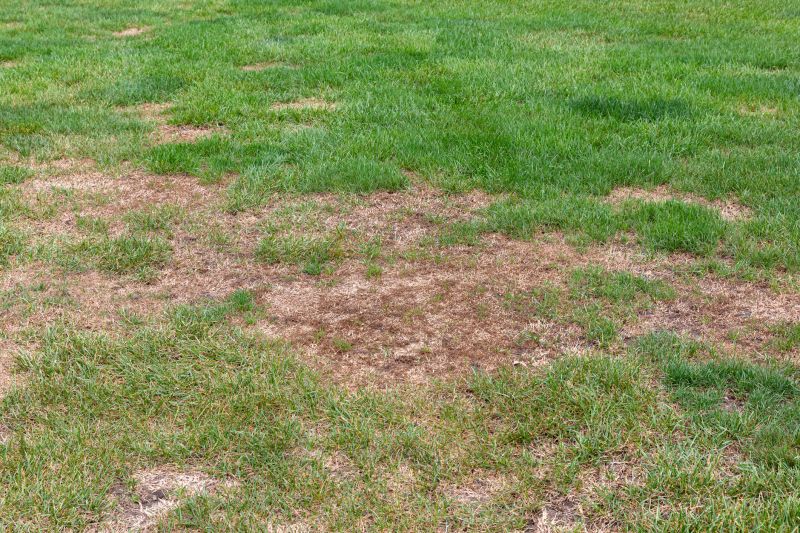 Grass Repair detail