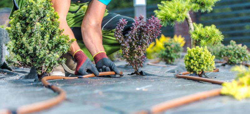 Landscape Mulching detail