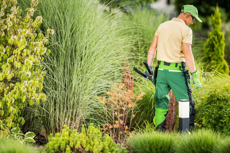 Landscaping Replacement detail