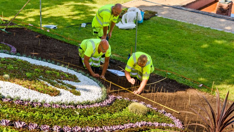 Landscaping Service detail