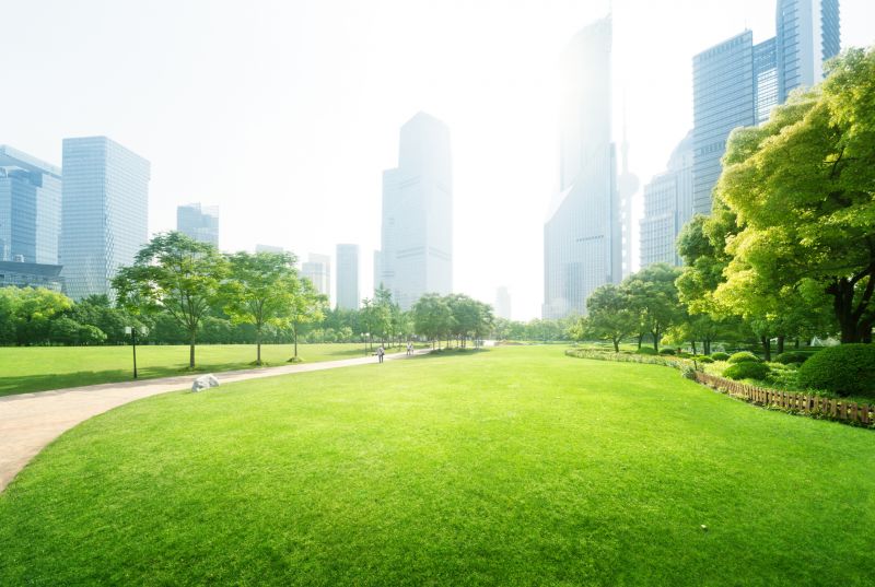 Lawn Landscaping detail