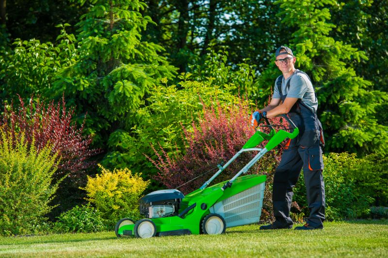 Lawn Landscaping detail