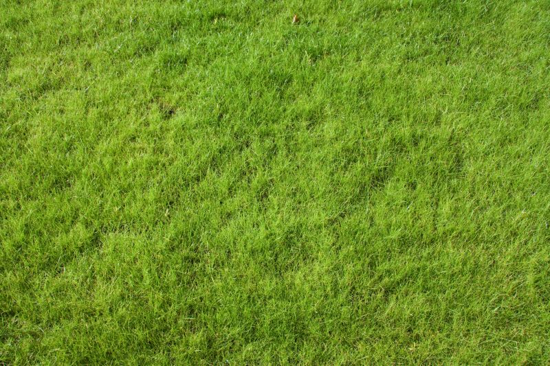 Residential Landscaping detail