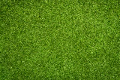 Synthetic Grass Installation detail