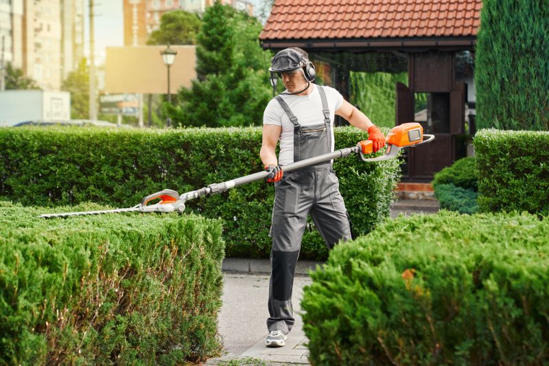 Yard Landscaping Service detail