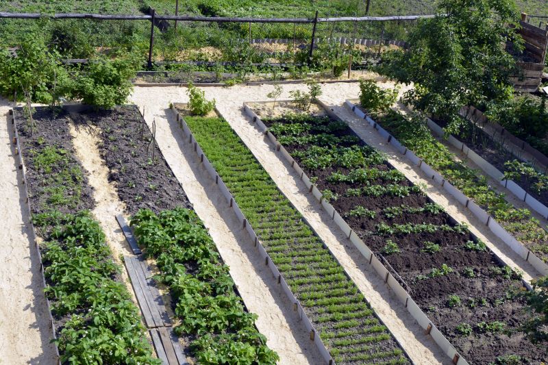 Garden Bed Construction