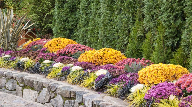 Garden Border Replacement