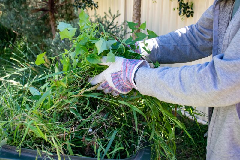 Garden Cleanup Service
