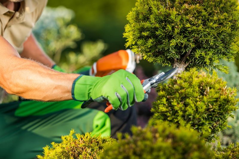 Garden Construction Service
