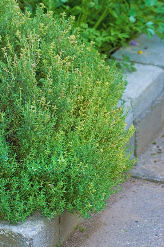 Garden Curbing Installation