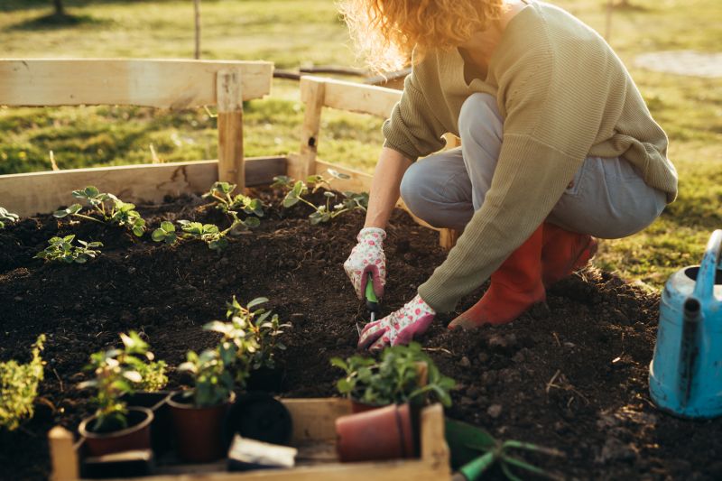 Garden Digging