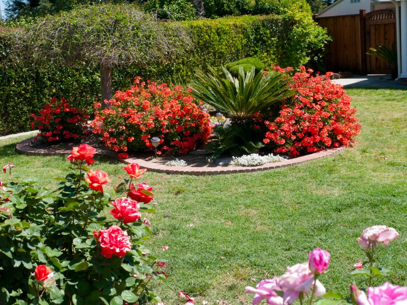 Garden Mulch Installation
